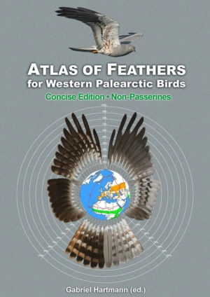 Atlas of Feathers for Western Palearctic Birds - Non-Passerines - Concise Edition