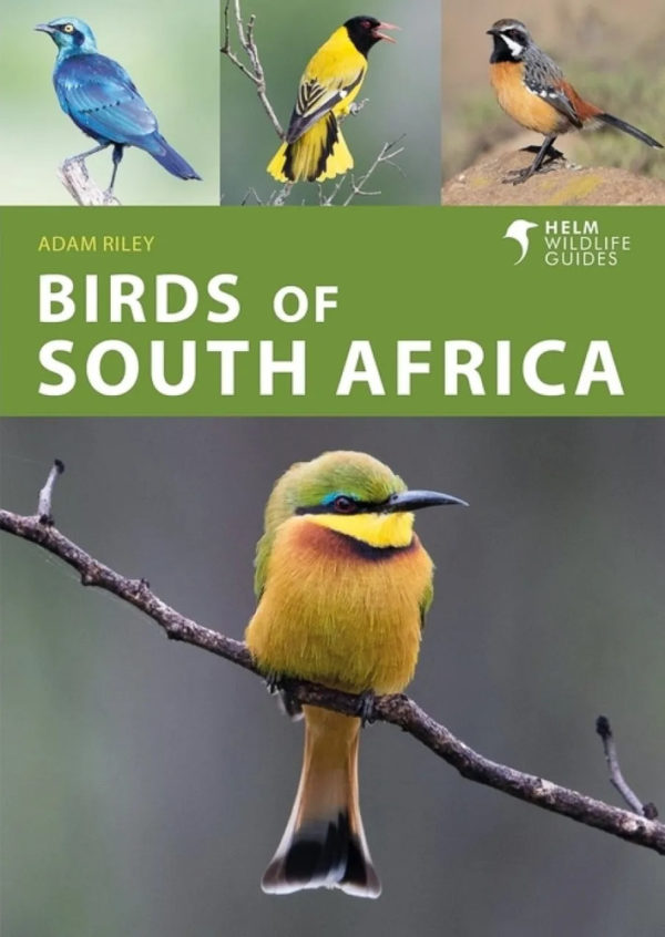 Birds of South Africa