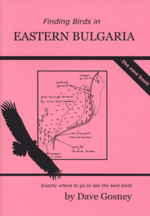 Finding Birds in Eastern Bulgaria