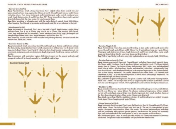 Tracks and Signs of the Birds of Britain and Europe. 3nd ed.