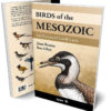 Birds of the Mesozoic