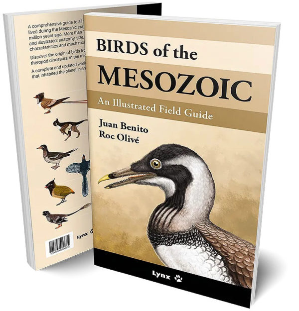 Birds of the Mesozoic