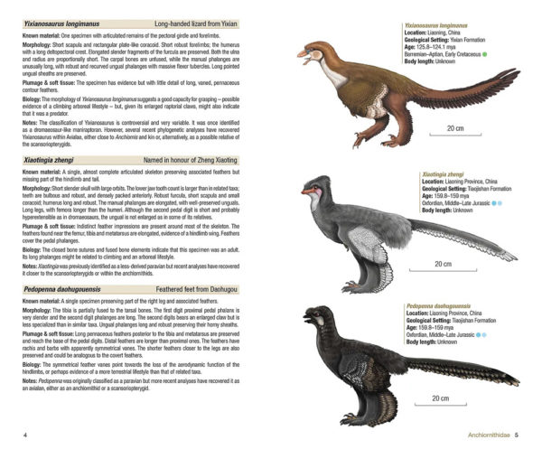 Birds of the Mesozoic