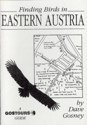 Finding Birds in Eastern Austria