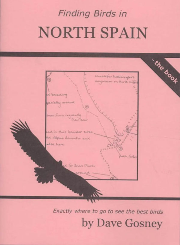 Finding Birds in North Spain