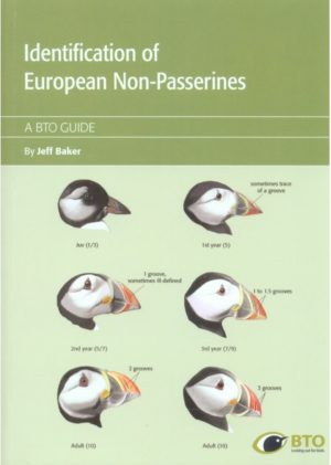 Identification of European Non-Passerines