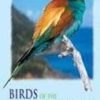 Birds of the Mediterranean