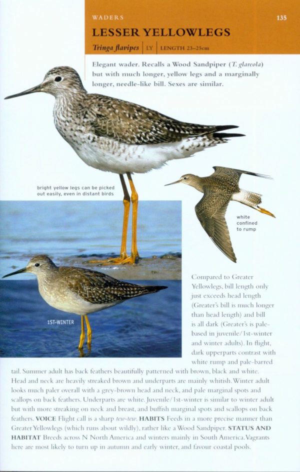 Collins BTO Guide to Rare British Birds