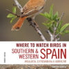 Where to Watch Birds in Southern and Western Spain