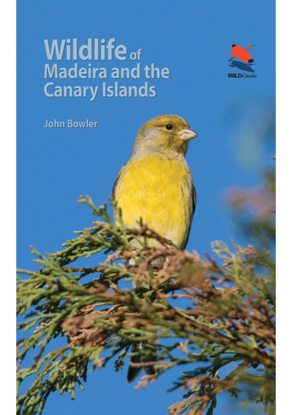 Wildlife of Madeira and the Canary Islands