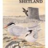 The Birds of Shetland