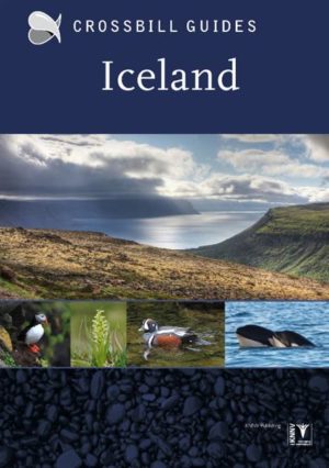 Crossbill Guides Iceland