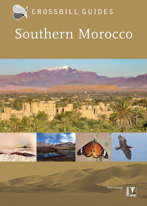 Crossbill Guides Southern Morocco