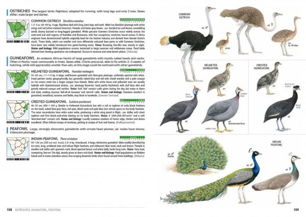 Sasol Birds of Southern Africa - 5th edition, stor utgave