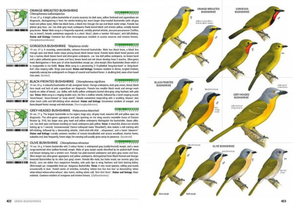 Sasol Birds of Southern Africa - 5th edition, stor utgave