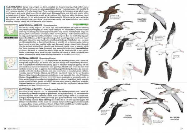 Sasol Birds of Southern Africa - 5th edition