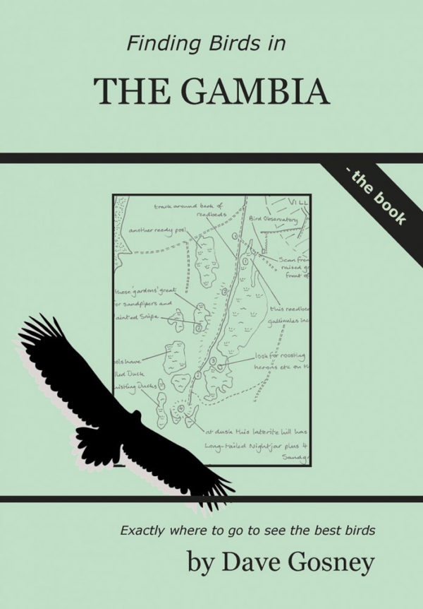 Finding Birds in the Gambia