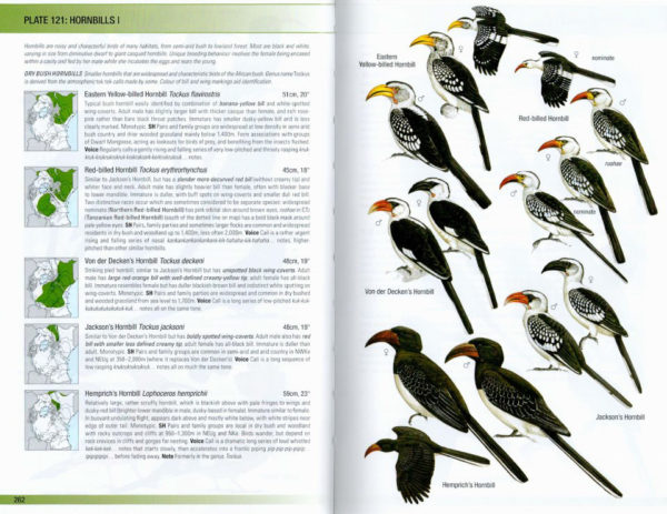 Birds of East Africa: Kenya, Tanzania, Uganda, Rwanda, Burundi