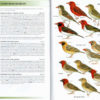 Birds of East Africa: Kenya, Tanzania, Uganda, Rwanda, Burundi