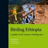 Birding Ethiopia
