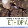 Where to Watch Birds in Ethiopia