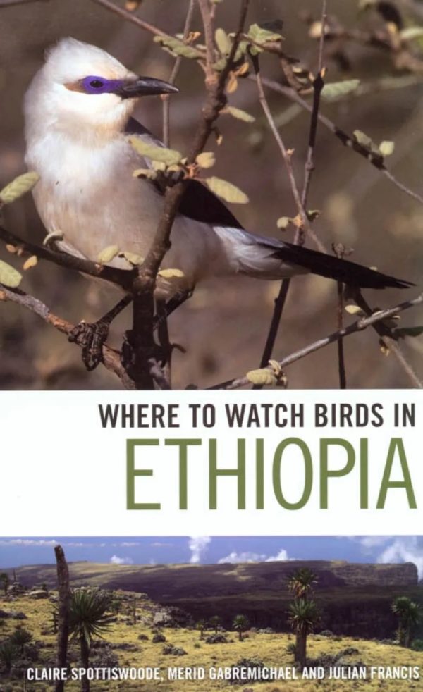 Where to Watch Birds in Ethiopia