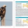 The New Birds of Kazakhstan