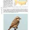 The New Birds of Kazakhstan