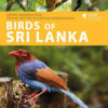 Birds of Sri Lanka - Helm Wildlife Guides