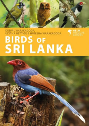 Birds of Sri Lanka - Helm Wildlife Guides
