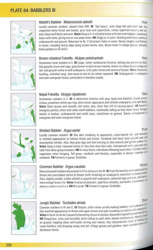 Field Guide to the Birds of Bangladesh