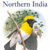 Field Guide to the Birds of Northern India