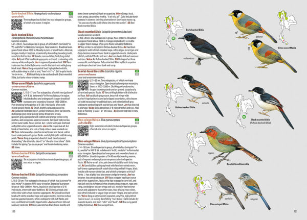 Birds of Thailand - Lynx and BirdLife International Field Guides