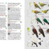 Birds of Thailand - Lynx and BirdLife International Field Guides