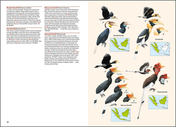 Birds of the Indonesian Archipelago