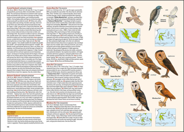 Birds of the Indonesian Archipelago