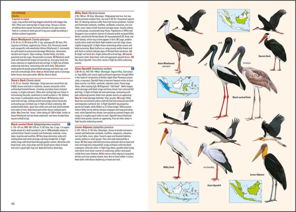 Birds of the Indonesian Archipelago