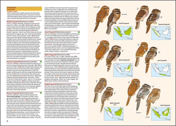 Birds of the Indonesian Archipelago