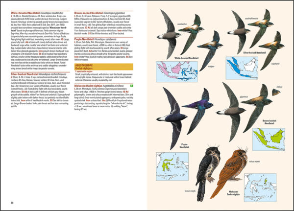 Birds of the Indonesian Archipelago