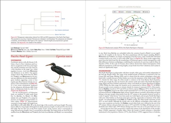 Birds of Eastern Polynesia