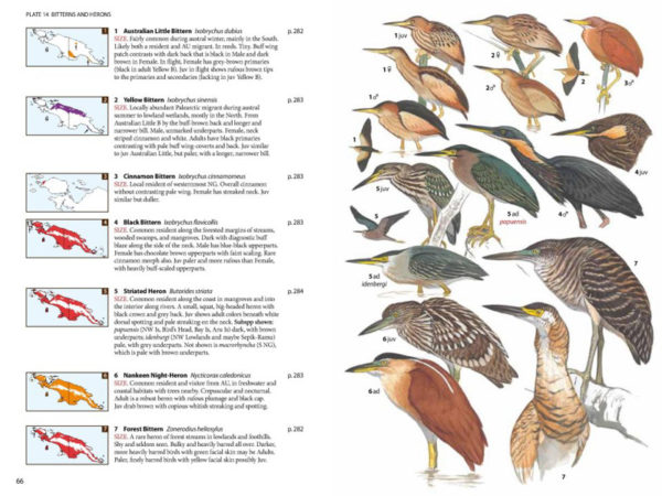 Birds of New Guinea - 2 ed.