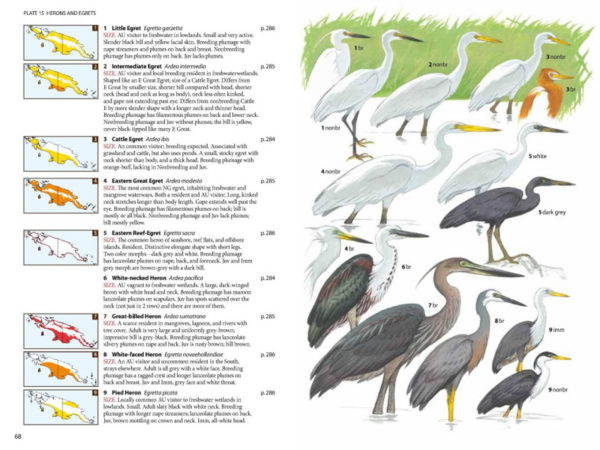 Birds of New Guinea - 2 ed.