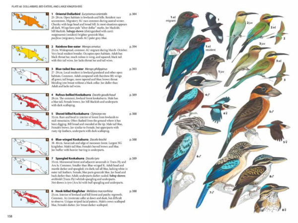 Birds of New Guinea - 2 ed.