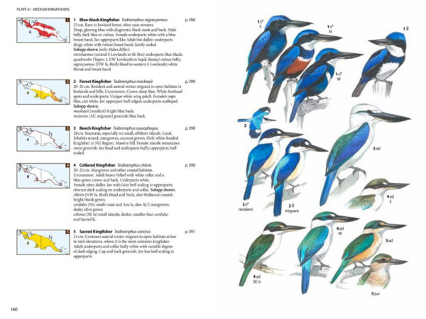 Birds of New Guinea - 2 ed.
