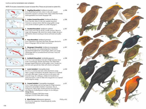 Birds of New Guinea - 2 ed.