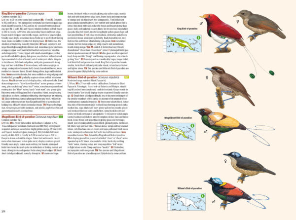 Birds of New Guinea - Including Bismarck Archipelago and Bougainville