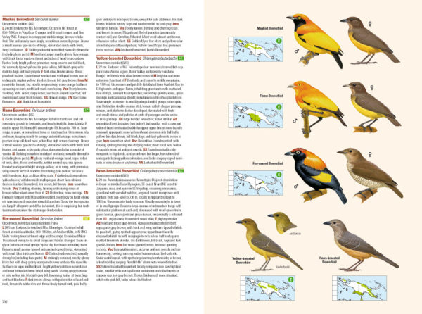 Birds of New Guinea - Including Bismarck Archipelago and Bougainville