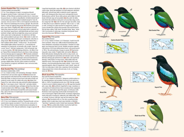 Birds of New Guinea - Including Bismarck Archipelago and Bougainville