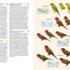 Birds of New Guinea - Including Bismarck Archipelago and Bougainville