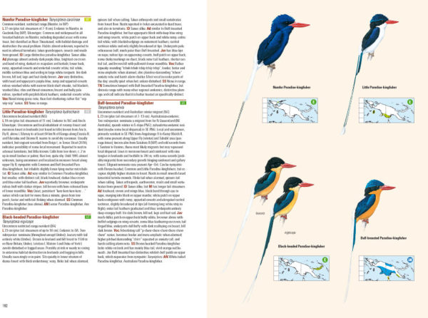 Birds of New Guinea - Including Bismarck Archipelago and Bougainville